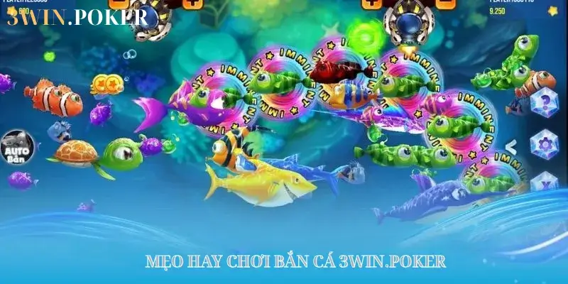 Kinh nghiệm bắn cá 3WIN.POKER